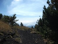 hiena dell Asino20100912 034